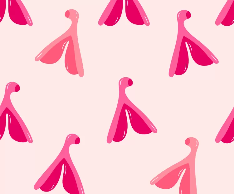 Curious about the Clitoris