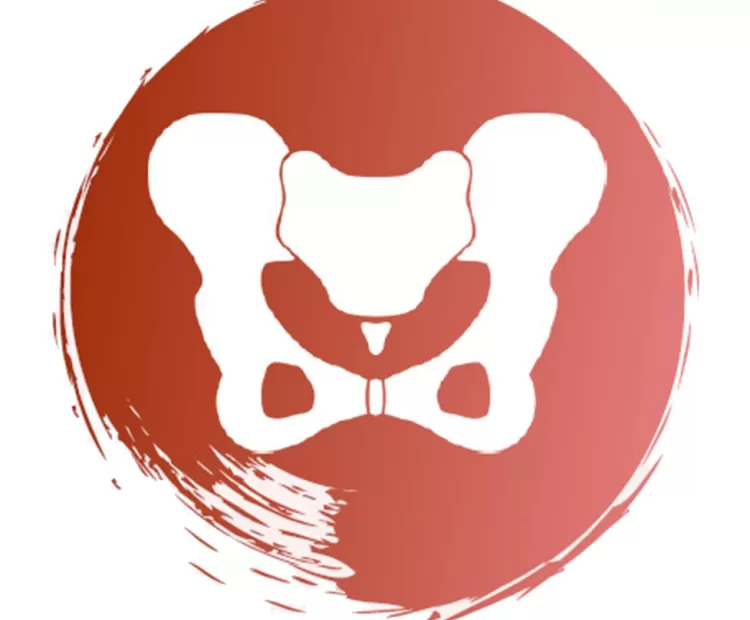 pelvis icon