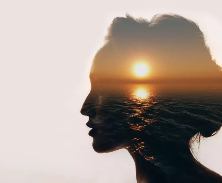 head with sunset inside